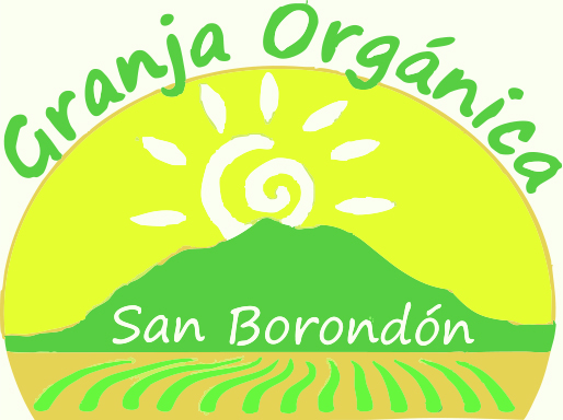Proyecto San Borondón